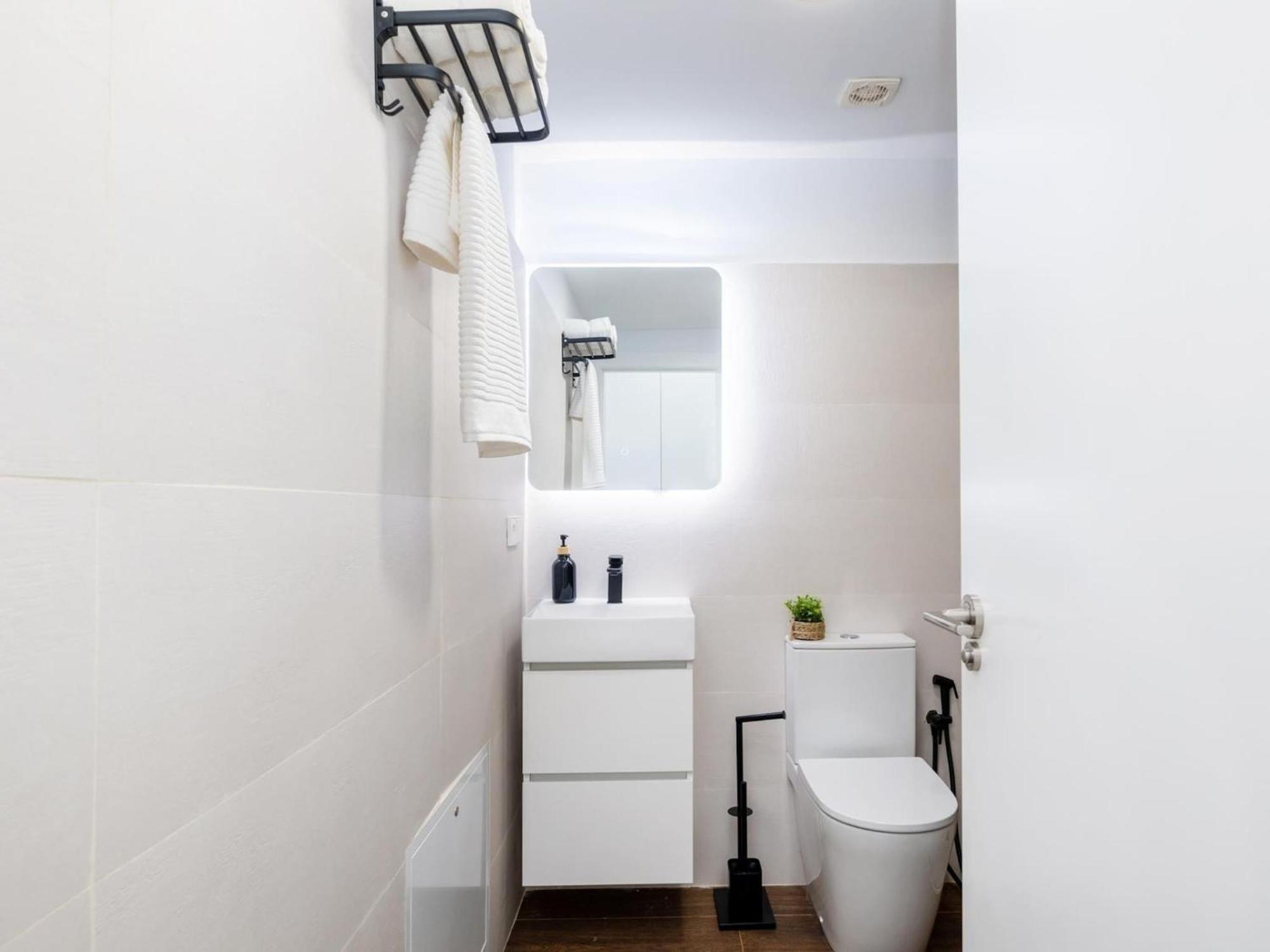 Santiago Duplex Penthouse Apartment *